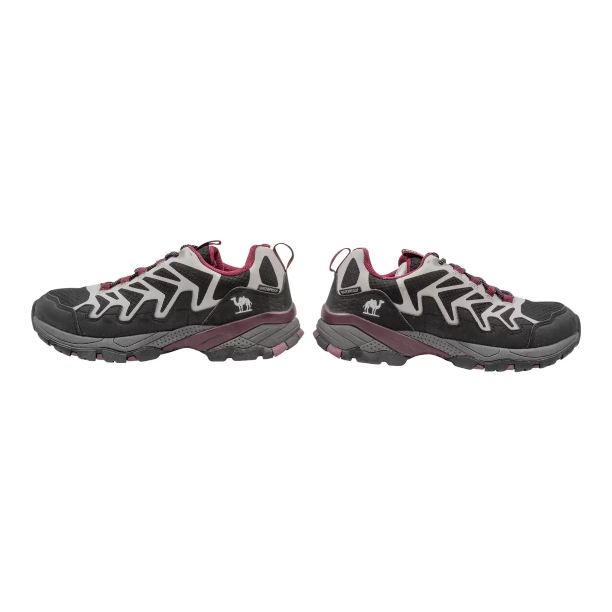 Camel Crown Hiking Shoes