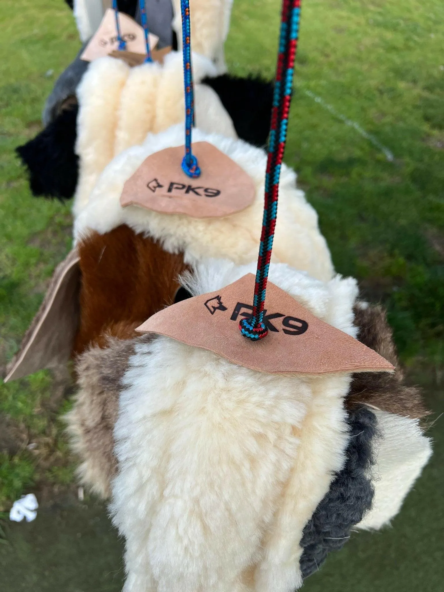 Dog Flirt Pole- The Ultimate Flirt Pole For Dogs