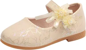 Girls Mary Jane Communion Shoes Flower Girls Princess Ballerina Flat Dress Shoes for School/Wedding/Party/Feast