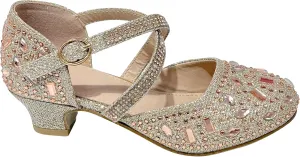 Girls Wedding Party Mary Jane Dress Shoes with Ankle Strap for Toddler Little Big Kids TR331
