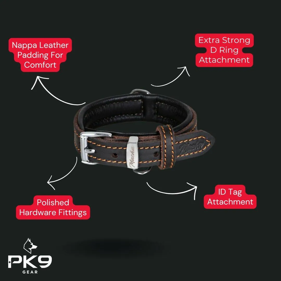 Latigo Leather Dog Collar – Oily Series (Limited Edition)