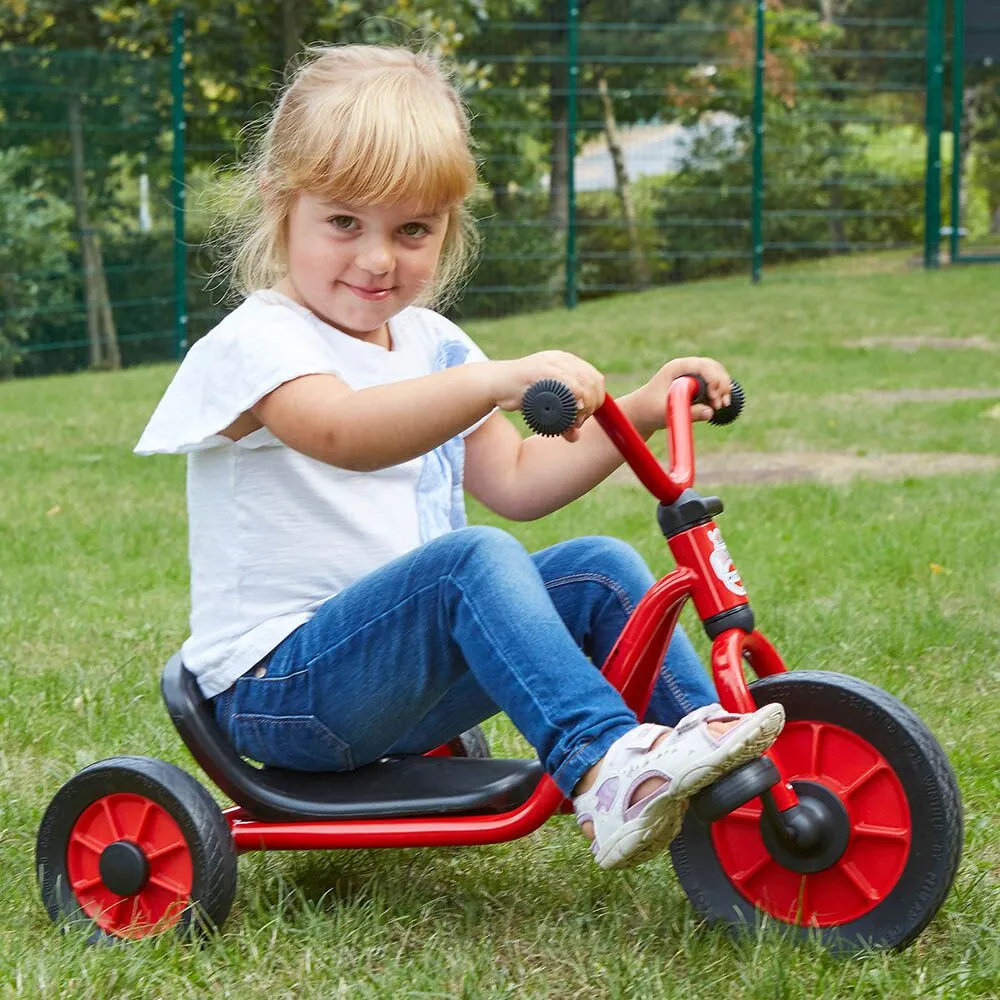Mini Viking Easy Rider