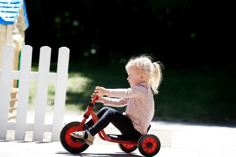 Mini Viking Easy Rider