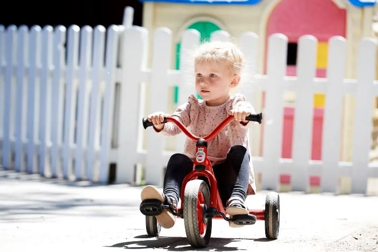 Mini Viking Easy Rider