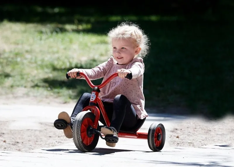 Mini Viking Easy Rider