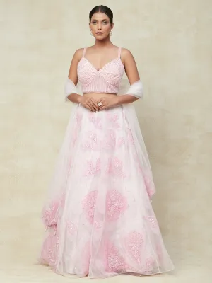 Pink Net Lehenga With Kadai Handwork