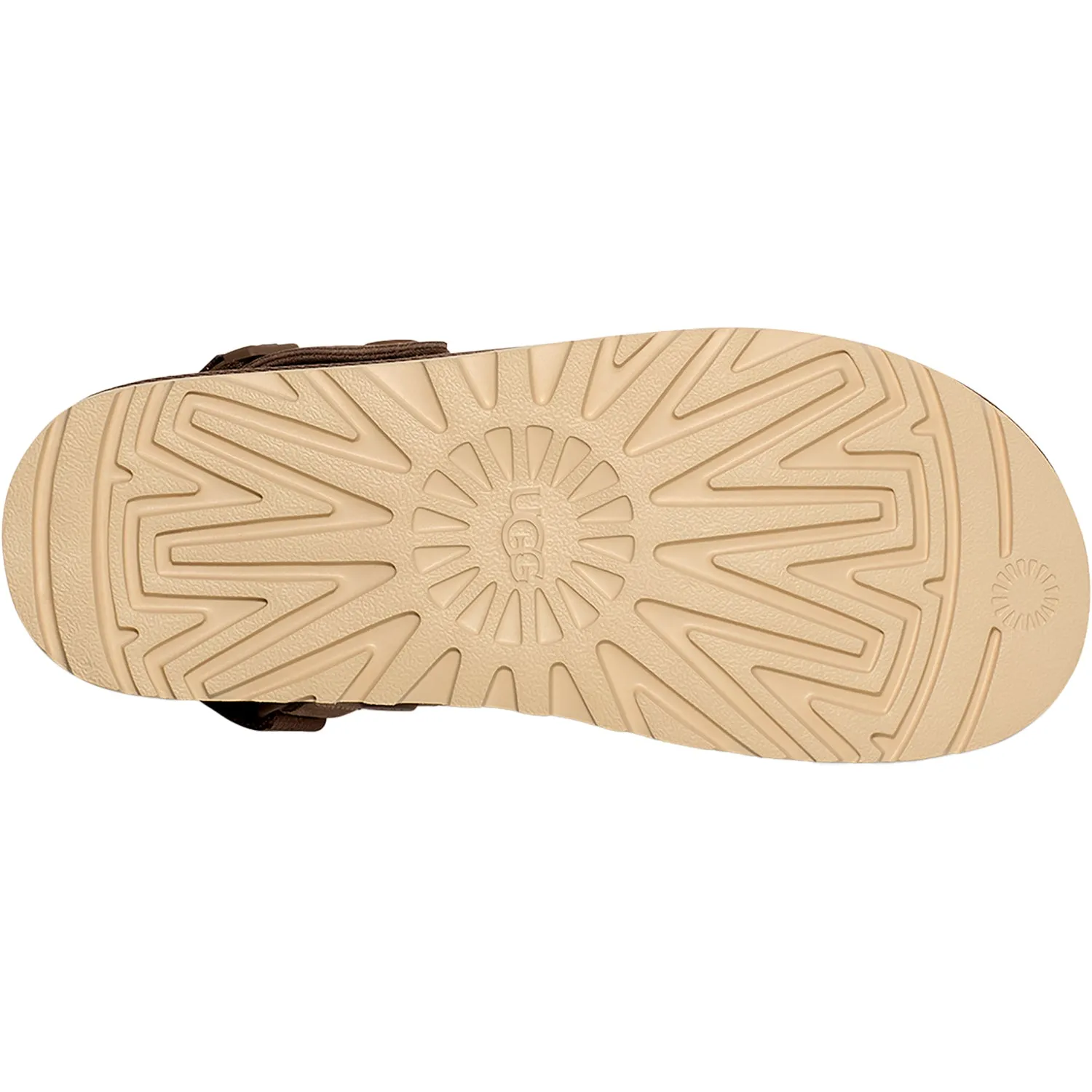 Women's UGG Goldenstar Clog Hickory